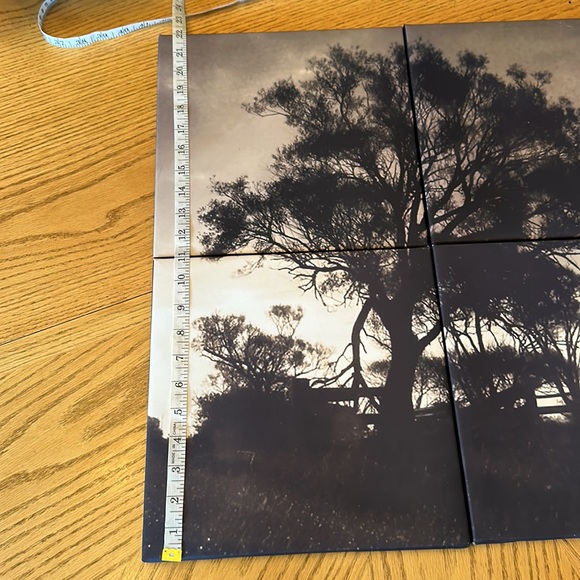 Picture set - Picture 4 of 5